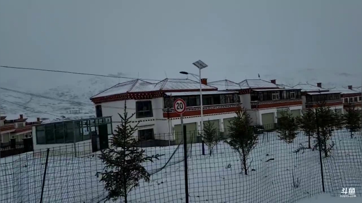 【户外】叶子户外的精彩时刻 20210121 13点场