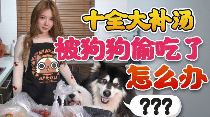 食材被狗吃了！！！狗肉怎么炖！！在线等！急！！！十全大补汤只剩下七个了！！