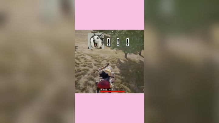 求个哥哥带带我把，太难了