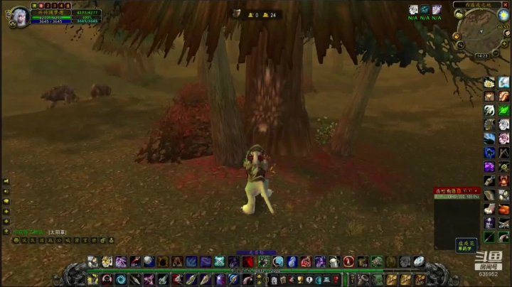 【2021-01-20 14点场】兴兴的梦想：火锤-新年快乐天天好运！635952