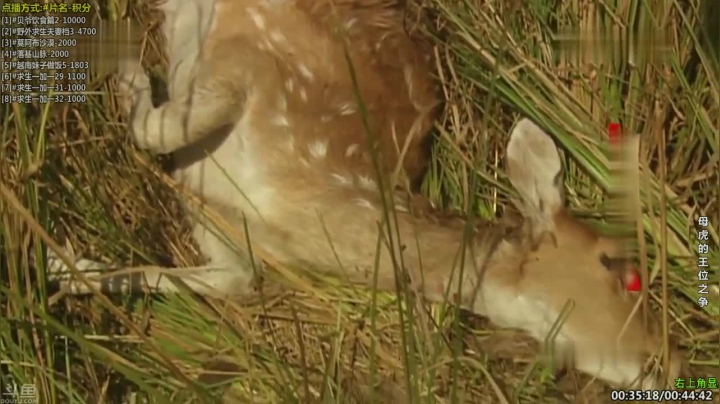 【科普】酷炫你你你的精彩时刻 20210121 22点场