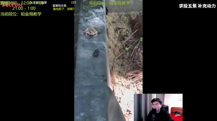 【2021-01-21 22点场】Chogod虫王：S11刺客秒杀流大虫子