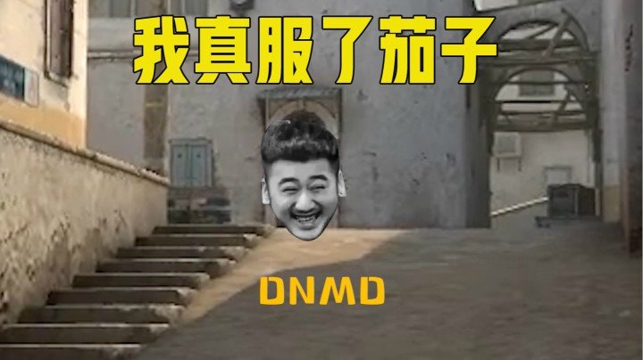 我真服了茄子