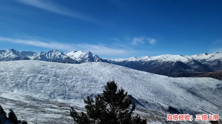 【户外】叶子户外的精彩时刻 20210122 12点场