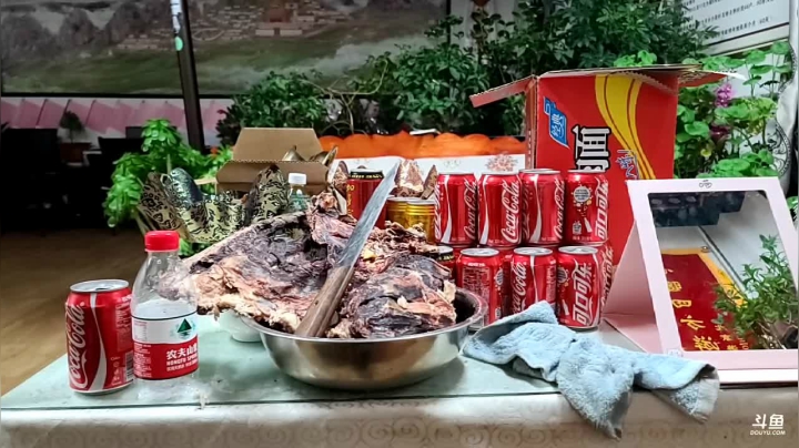 【2021-01-21 22点场】叶子户外：《纪实直播》藏北孜珠寺出发