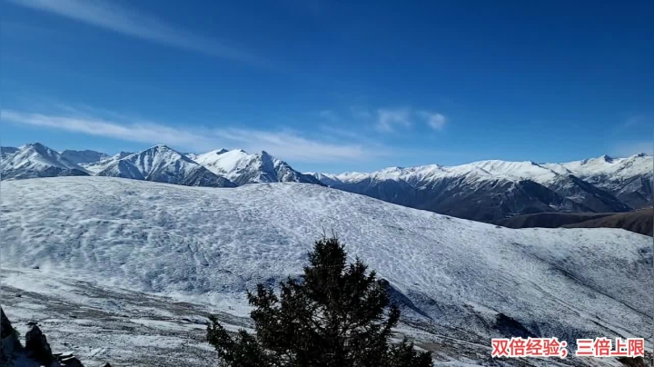 【2021-01-22 12点场】叶子户外：《纪实直播》藏北孜珠寺出发