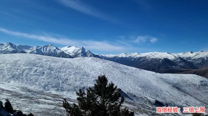 【户外】叶子户外的精彩时刻 20210122 12点场