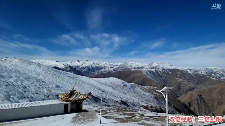 【户外】叶子户外的精彩时刻 20210122 12点场