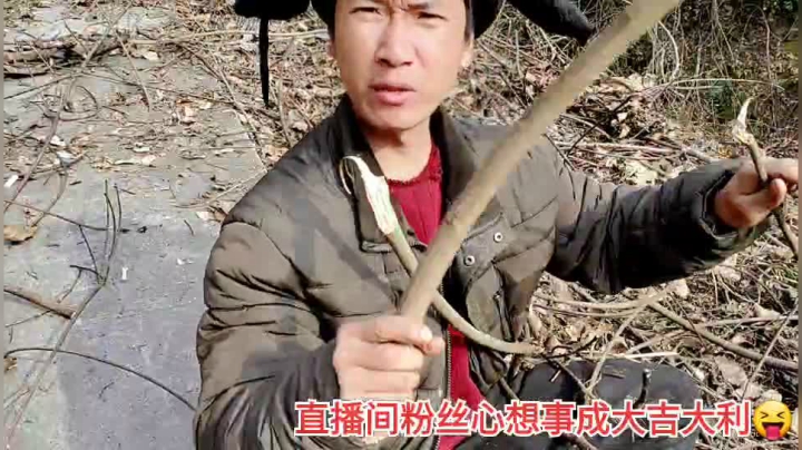 我在斗鱼看许文强户外直播户外