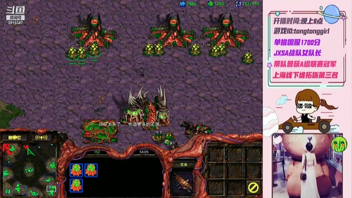 tong VS 肖嵩， tong用虫族