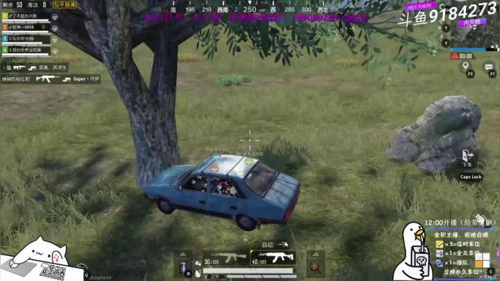 如果让内只鹅开车