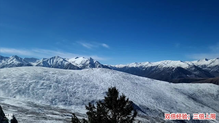 【户外】叶子户外的精彩时刻 20210122 12点场