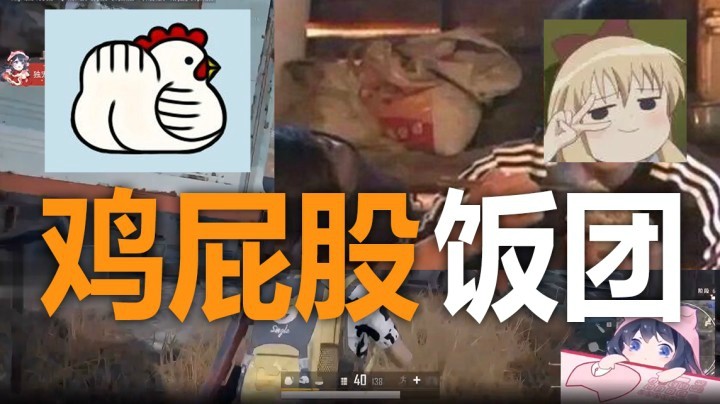 【一条小团团】鸡屁股饭团！