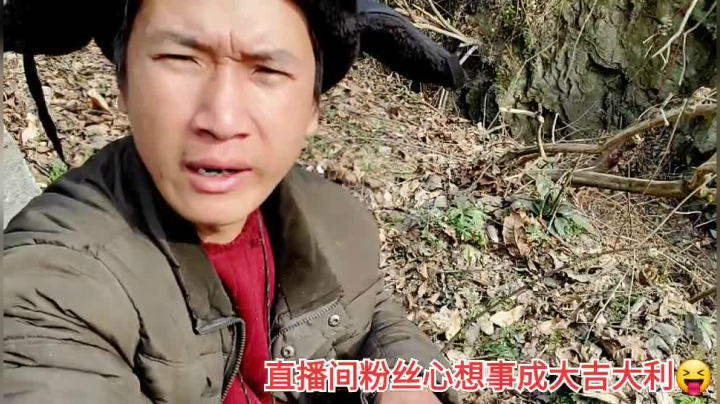 我在斗鱼看许文强户外直播户外