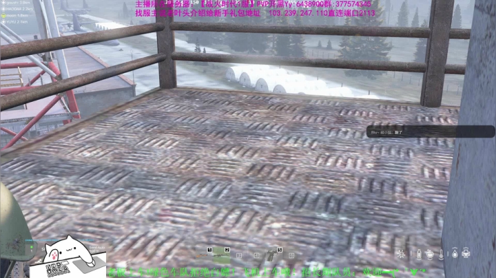 【2021-01-22 14点场】Biu枼非凡：DAYZ新手导师