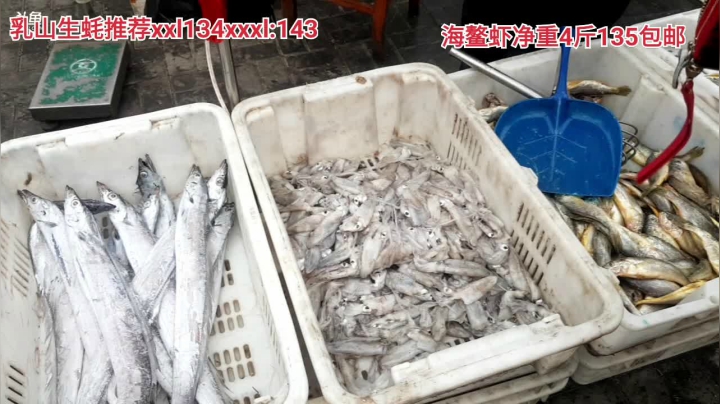 【户外】威海高哥587997的精彩时刻 20210123 16点场