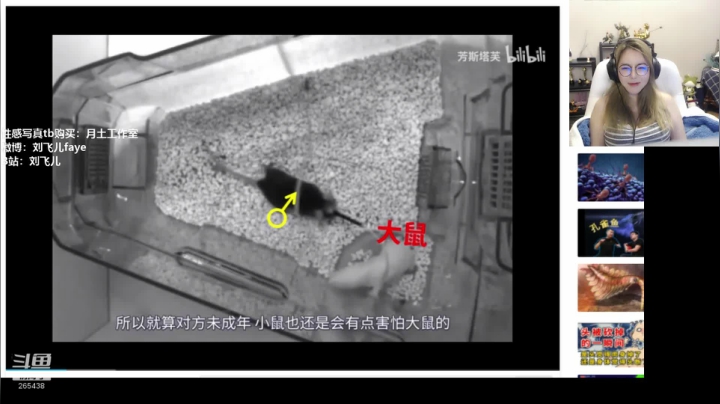 【2021-01-22 22点场】刘飞儿faye：飞儿机动都市阿尔法！