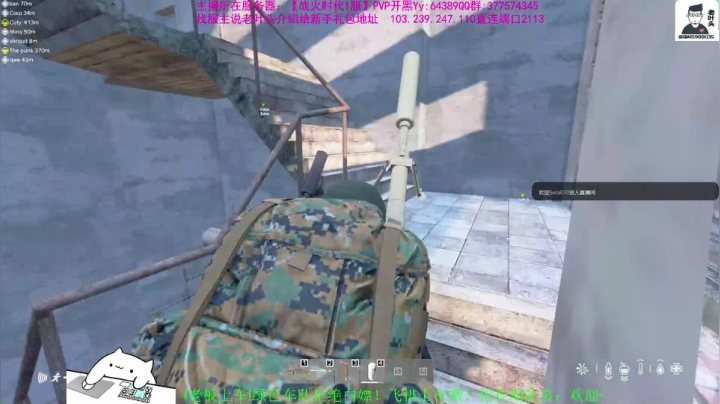 【2021-01-22 23点场】Biu枼非凡：DAYZ新手导师