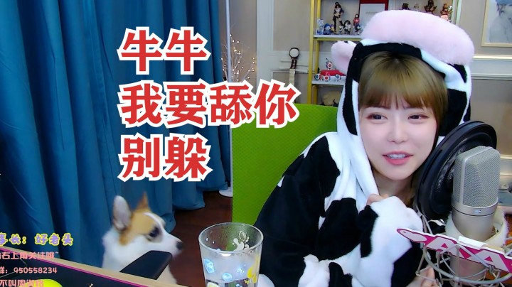 周淑怡穿奶牛装卖萌，哈哈老色狗一顿狂舔！