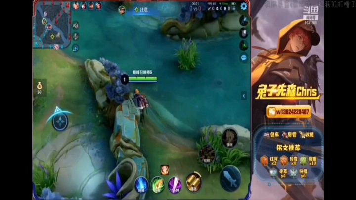本周的兔子6