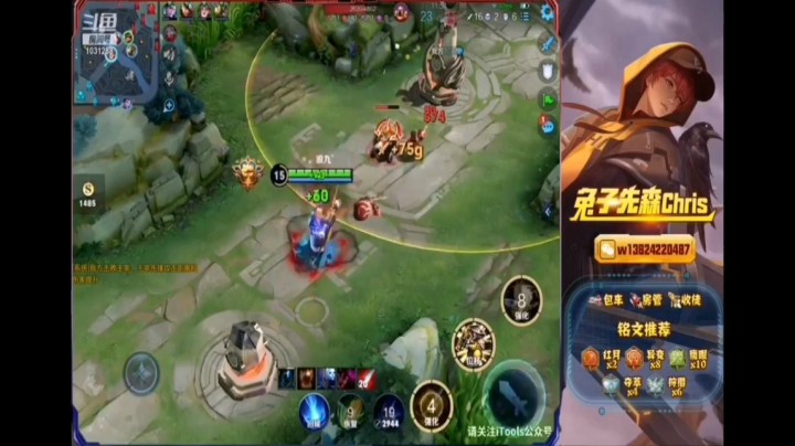本周的兔子9