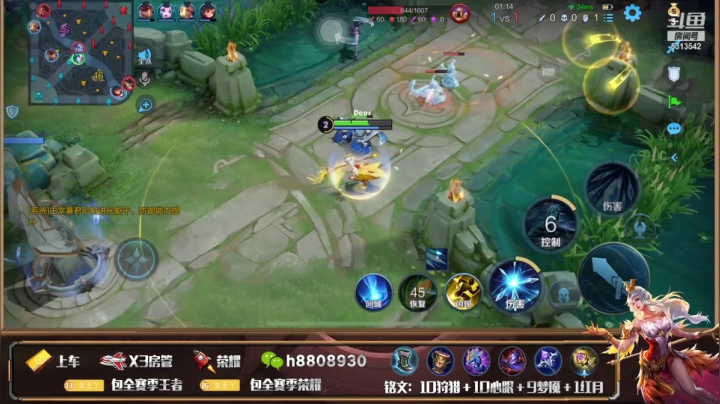 【2021-01-23 19点场】国服王昭君张真人：国服王昭君！王昭君专场！
