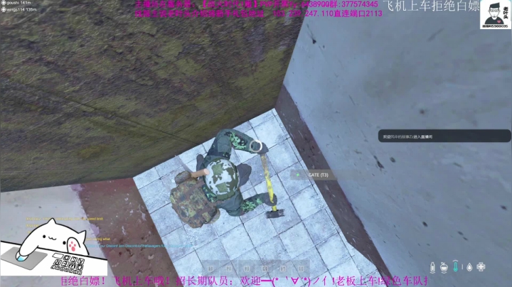【2021-01-23 23点场】Biu枼非凡：DAYZ新手导师
