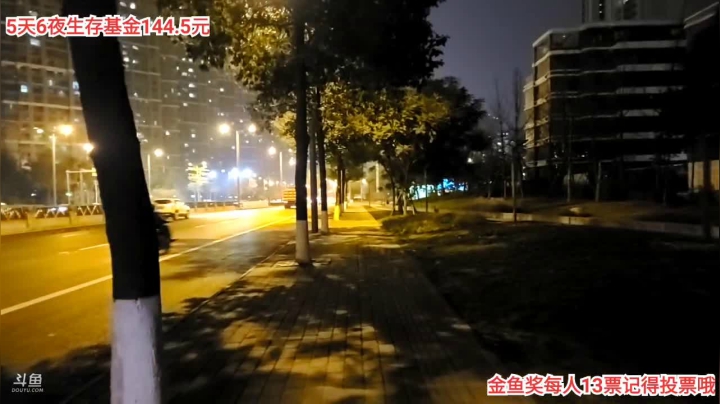 【2021-01-26 23点场】叶子户外：大型城市户外生存