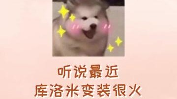 有内味了