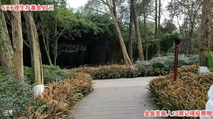 【2021-01-27 13点场】叶子户外：《金鱼奖》大型城市户外生存24小时直播