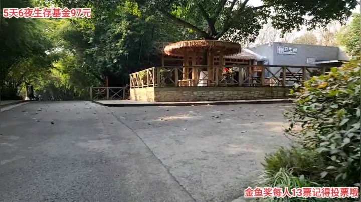 【户外】叶子户外的精彩时刻 20210127 14点场