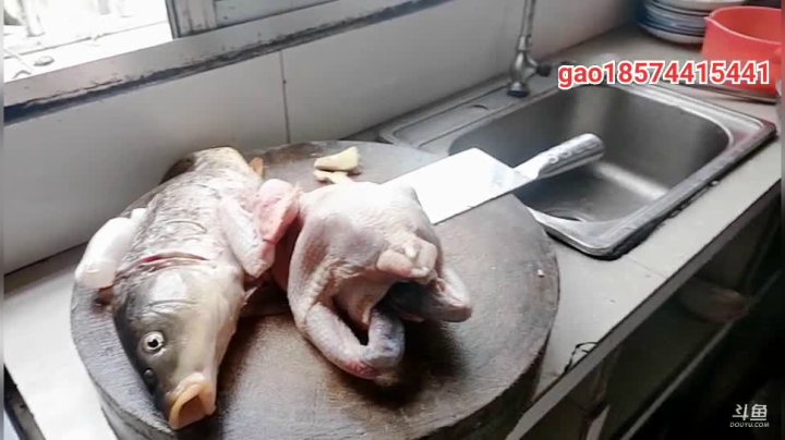 【2021-01-27 13点场】魅力生活i：白切鸡、糖醋鲤鱼。。。