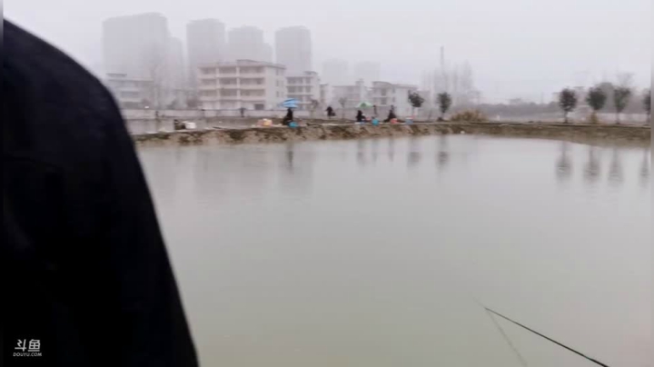 【2021-01-27 07点场】中华户外钓鱼：小林黑坑钓大青