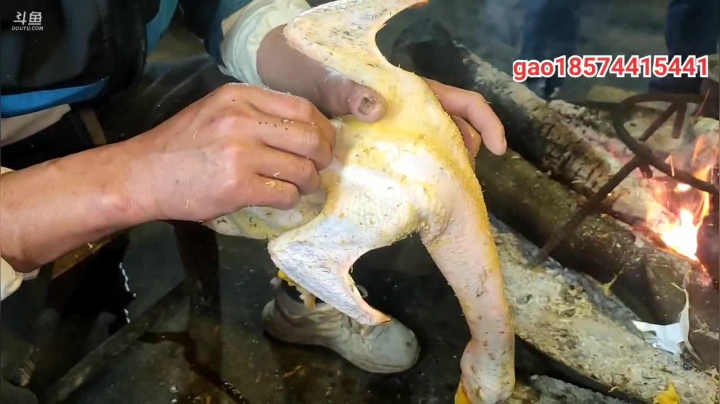 【2021-01-27 19点场】魅力生活i：白切鸡、糖醋鲤鱼。。。