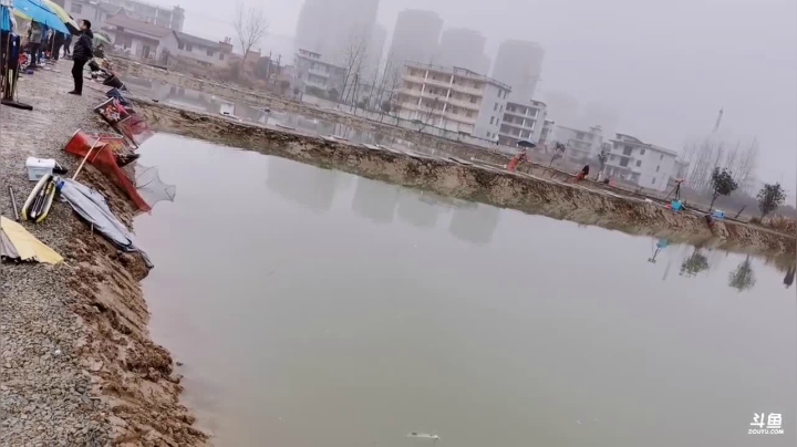 【2021-01-27 15点场】中华户外钓鱼：小林黑坑钓大青