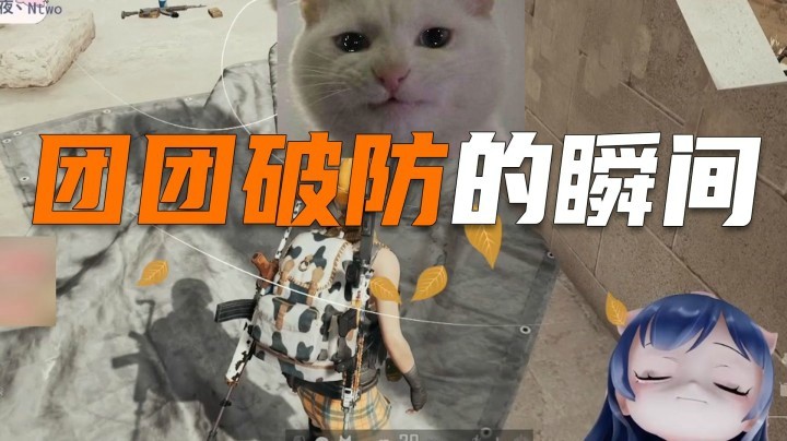 【一条小团团】当代主播的破防瞬间~