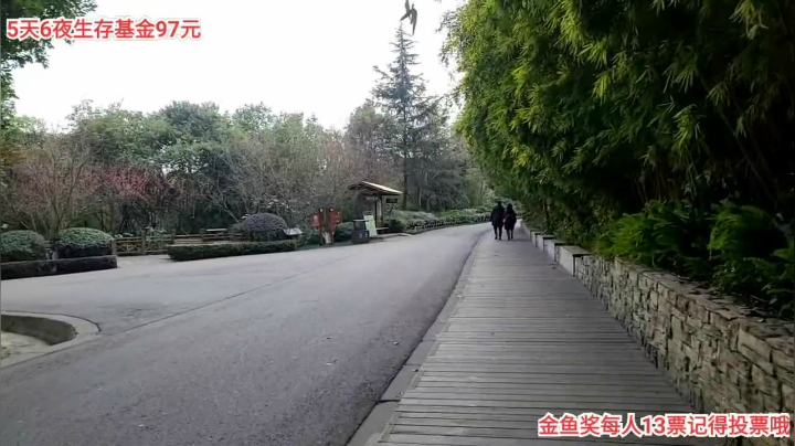 【2021-01-27 15点场】叶子户外：《金鱼奖》大型城市户外生存24小时直播