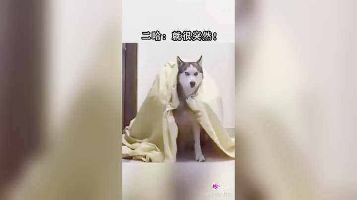 gzc_1047_1047_0b53ayaceaaa4uajnum7lbprobqeeiiqajs