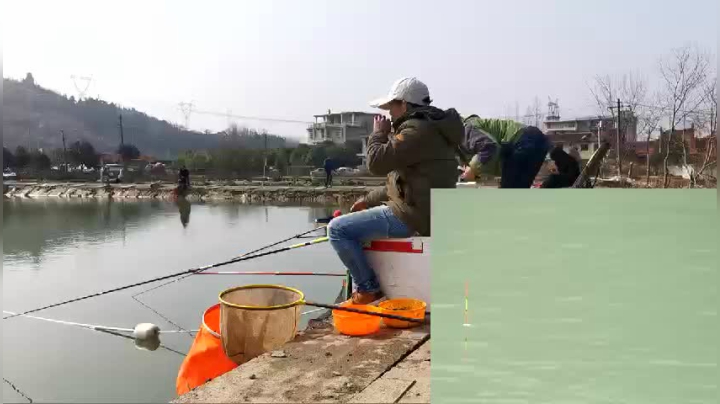 【2021-01-28 12点场】中华户外钓鱼：小林黑坑钓大青