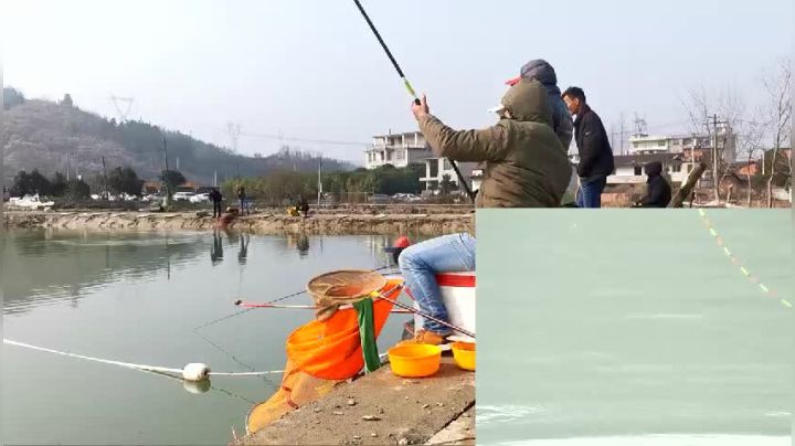 【2021-01-28 10点场】中华户外钓鱼：小林黑坑钓大青