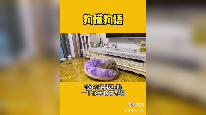 gzc_1047_1047_0b53qqabmaaaaqadj5ijljqbpbaec2jqaes