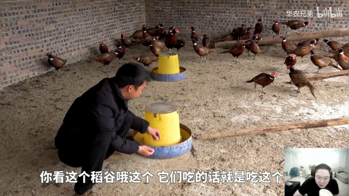 【英雄联盟】即将拥有人鱼线的PDD的精彩时刻 20210128 12点场