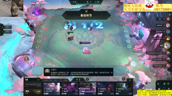 【2021-01-29 01点场】马丁老师：合区激情对推！