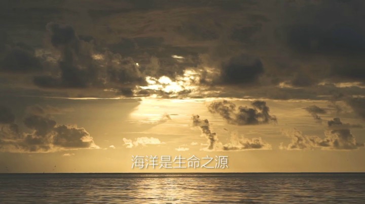 守卫蓝海传承“侠义” 蓝海守护侠在行动！