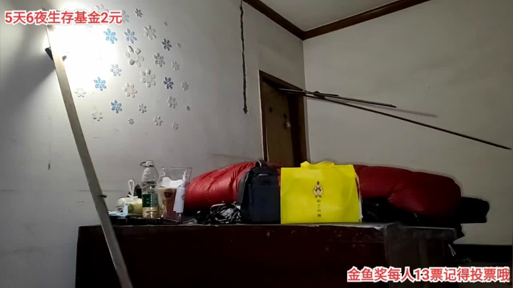 【2021-01-30 05点场】叶子户外：《金鱼奖》大型城市户外生存24小时直播