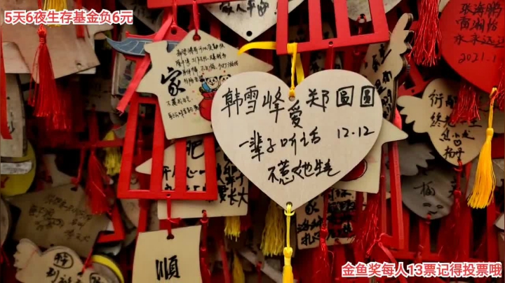 【户外】叶子户外的精彩时刻 20210130 15点场