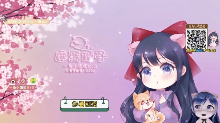 一条小团团：团团自爆以前热度不高的时候经常看电影