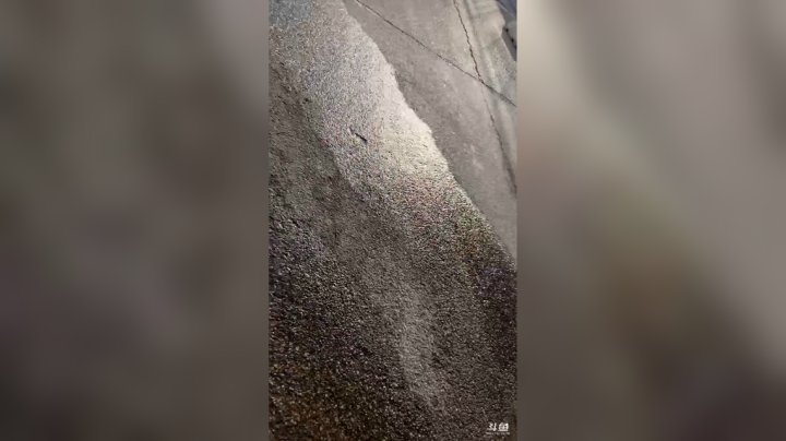 【2021-01-20 15点场】小猪pigger：低调涨涨分