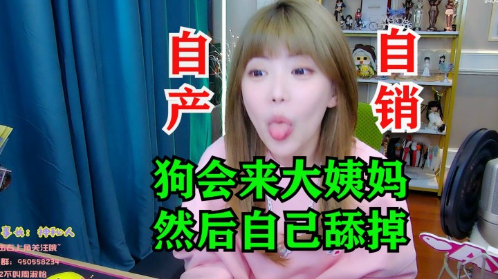 周淑怡要给哈哈做绝育手术，狗也会来大姨妈，奇怪的知识增加了！