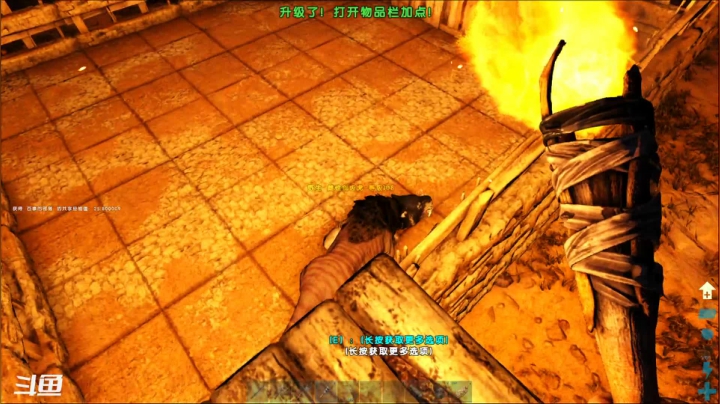 【2021-01-30 21点场】老丶百事：百事 新人 初体验